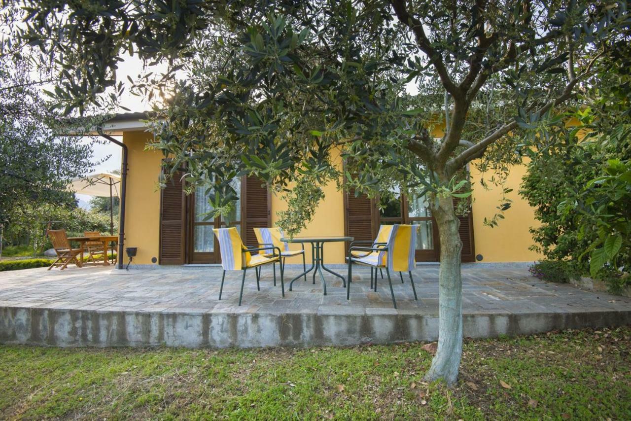 Agrialpi By Salfrutta Bricherasio Exterior foto